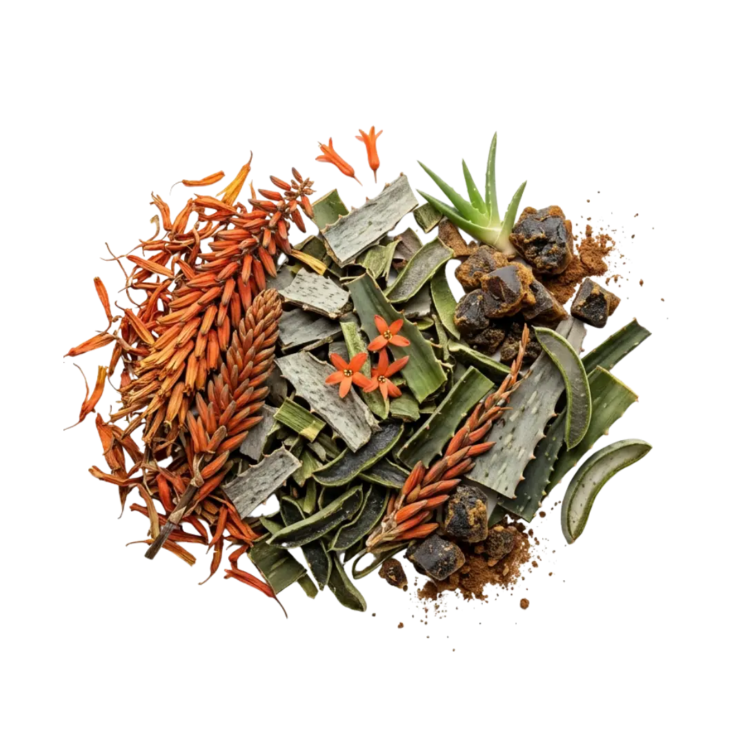 Aloe Ferox