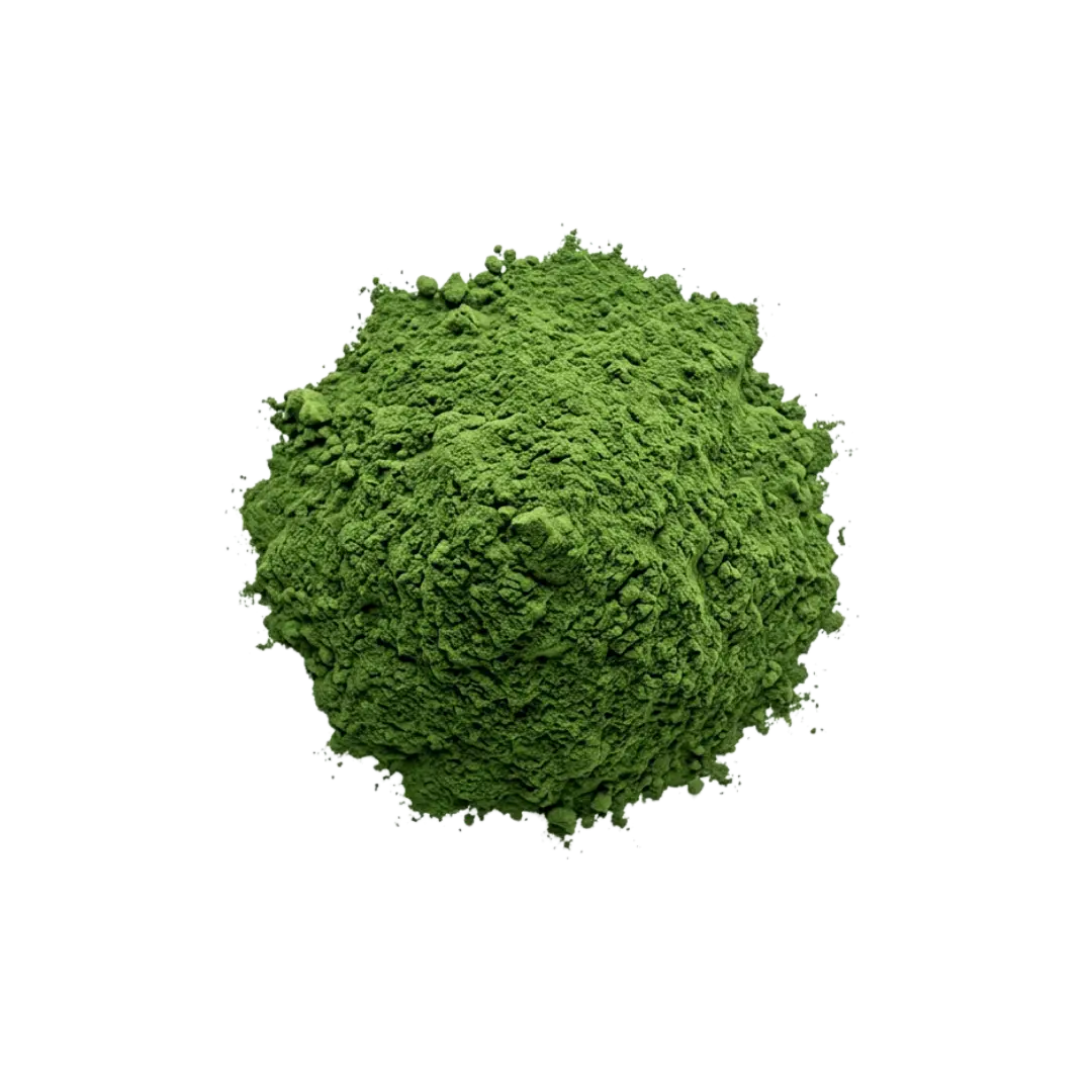 Chlorella