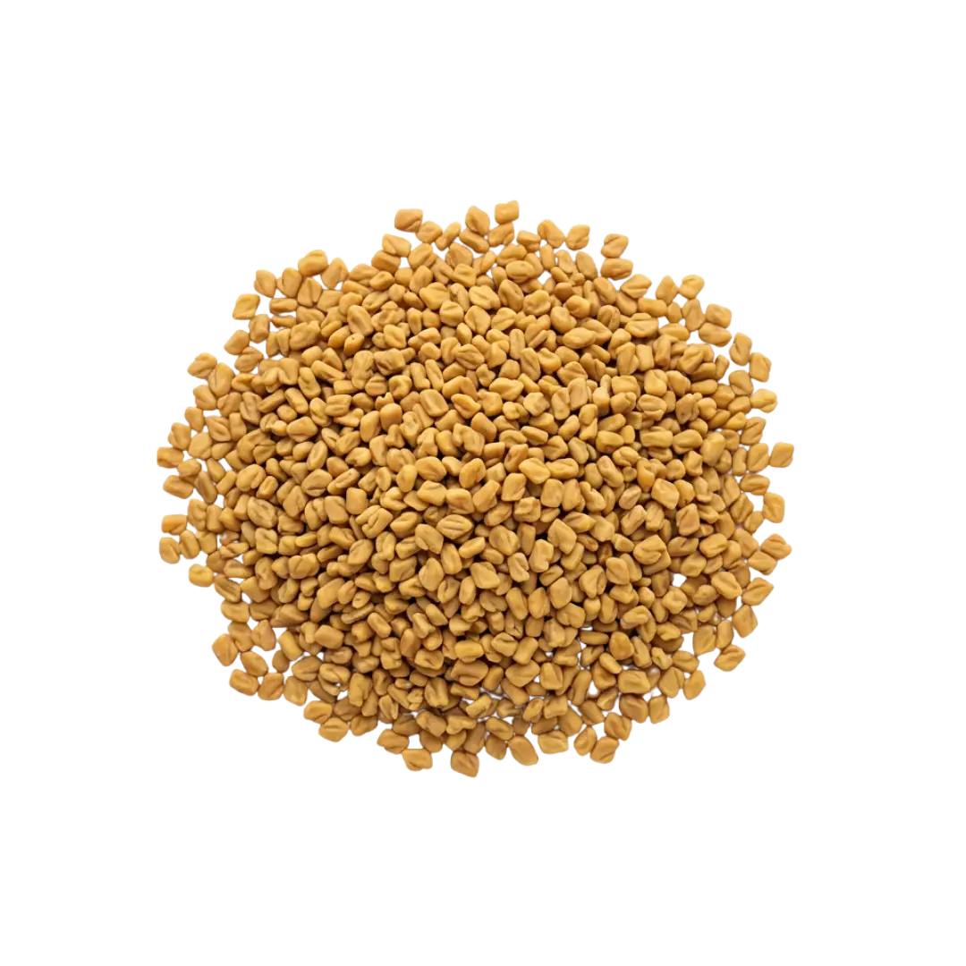 Fenugreek
