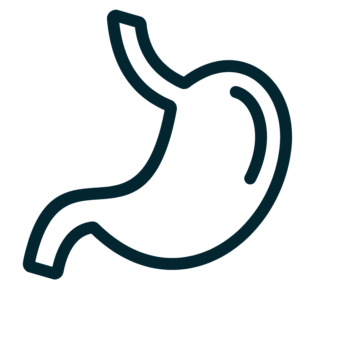 Fortify gut wellness