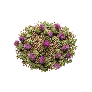 Milk Thistle for microplastics, microplastics and milk thistle